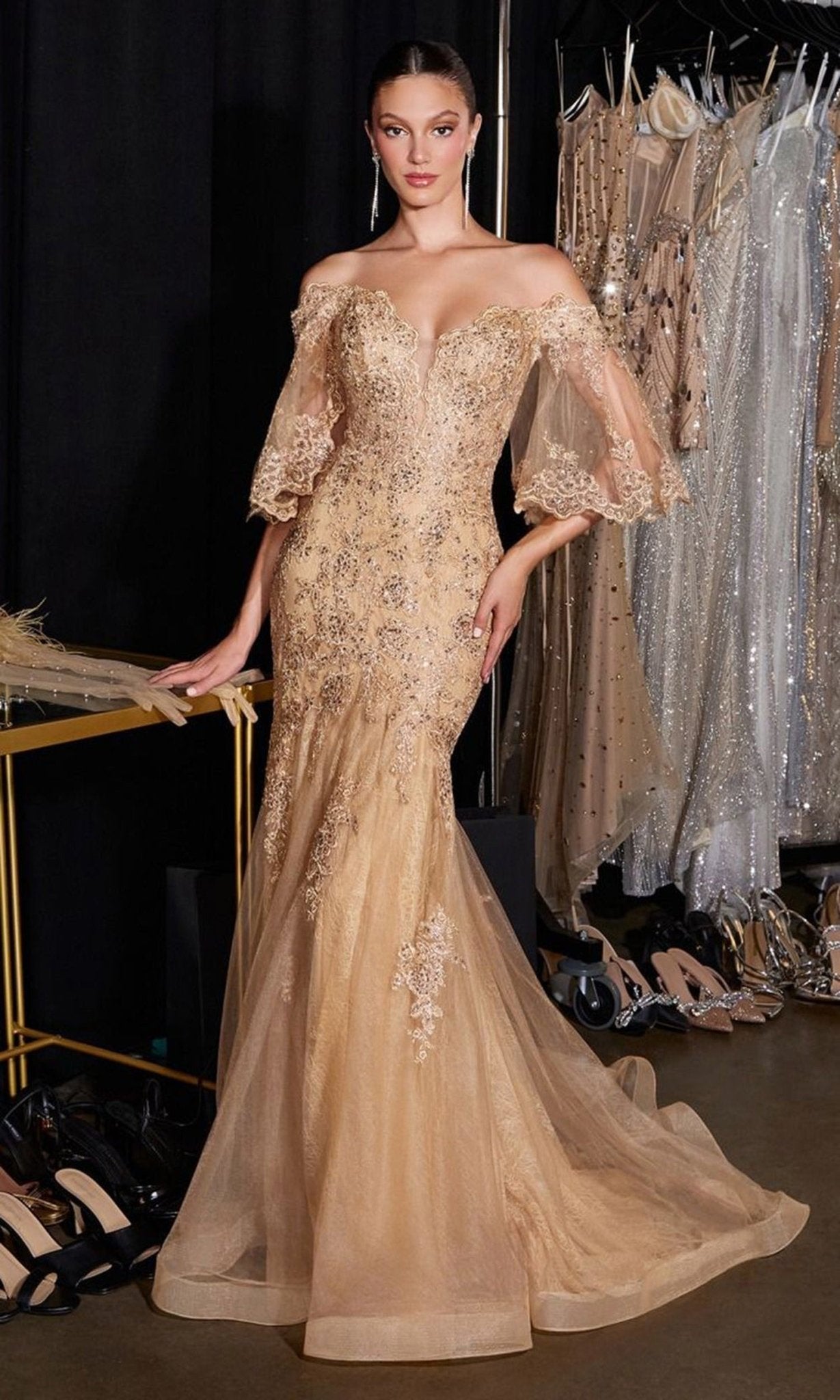 Ladivine CD659 - Bell Sleeve Embroidered Lace Prom Gown - Silhouette Dresses