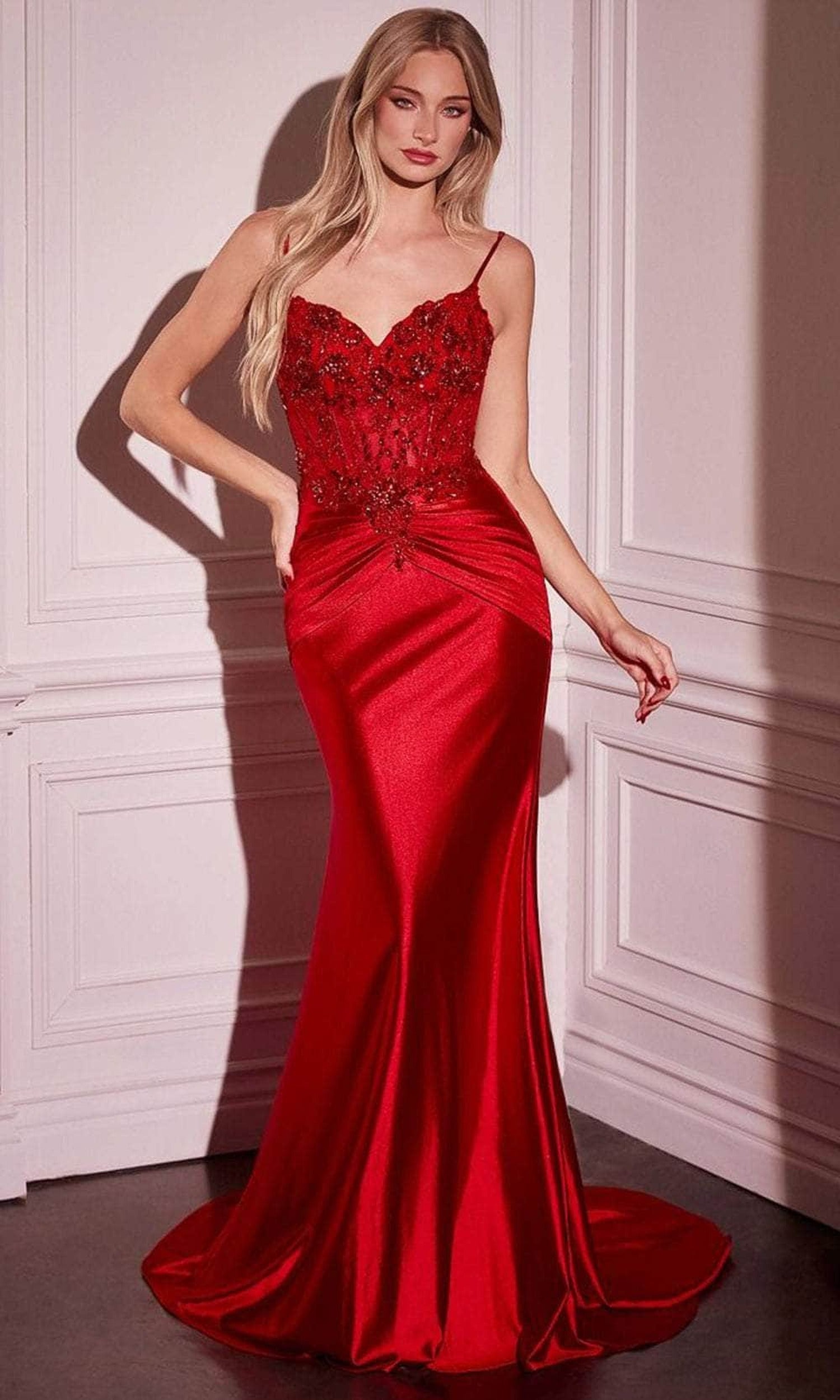 Ladivine CD776 - Illusion V-Neck Long Gown
