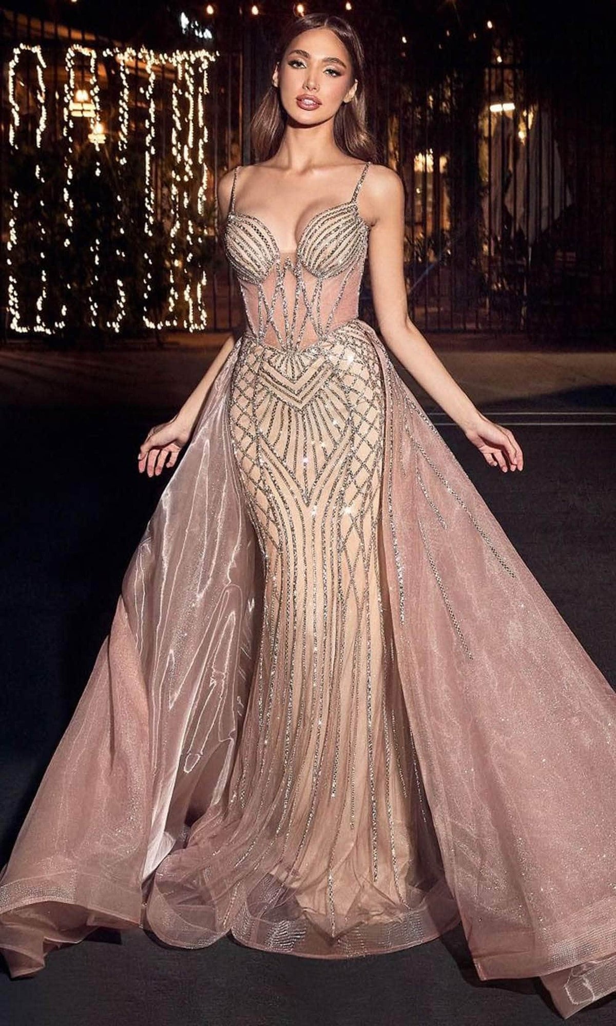 Ladivine CD863 Sweetheart Overskirt Dress
