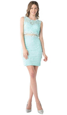 Ladivine CF067S - Sleeveless Illusion Jewel Lace Sheath Fitted Short Dress - Silhouette Dresses