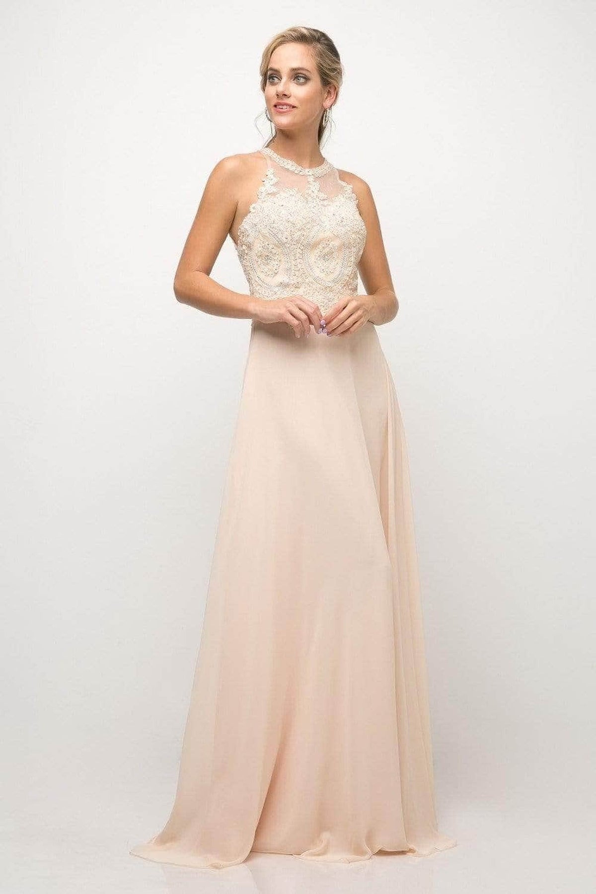 Ladivine UJ0120 - Illusion Jewel Tonal Appliqued Chiffon Gown