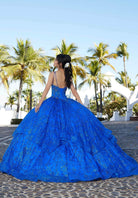 Mori Lee 60163 - Crystal Beaded Quinceanera Ballgown - view 11