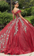 Mori Lee 89342 - Appliqued V-Neck Quinceañera Dress - back view