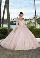 Mori Lee 89360 - Shimmered Tulle Quinceañera Dress - back view