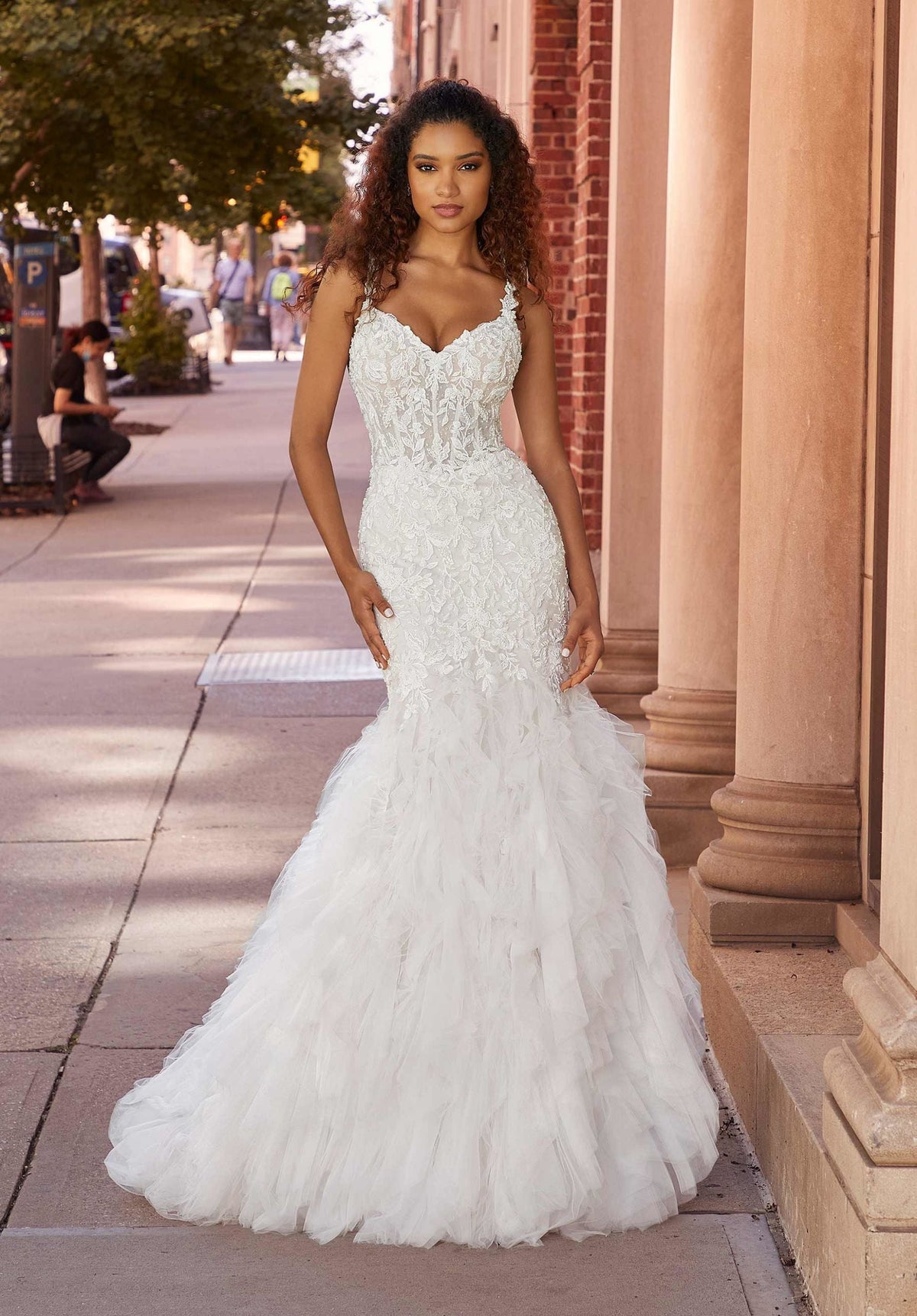https://cdn.shopify.com/s/files/1/0908/3011/1000/files/product_img_2507_feature_img-scaled.jpg?v=1749636853