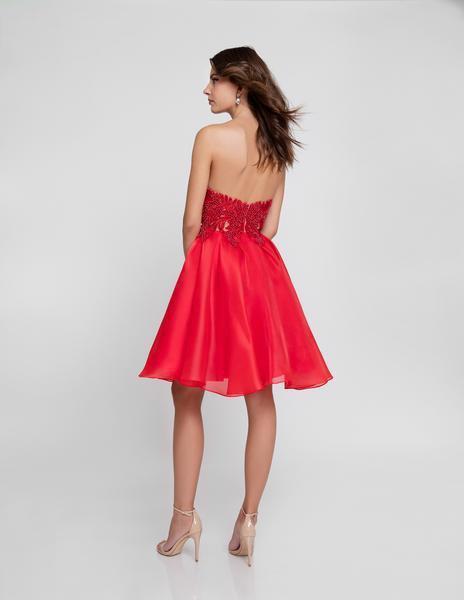 Terani Couture - 1811P5100 Embroidered Plunging Sweetheart Dress - back view