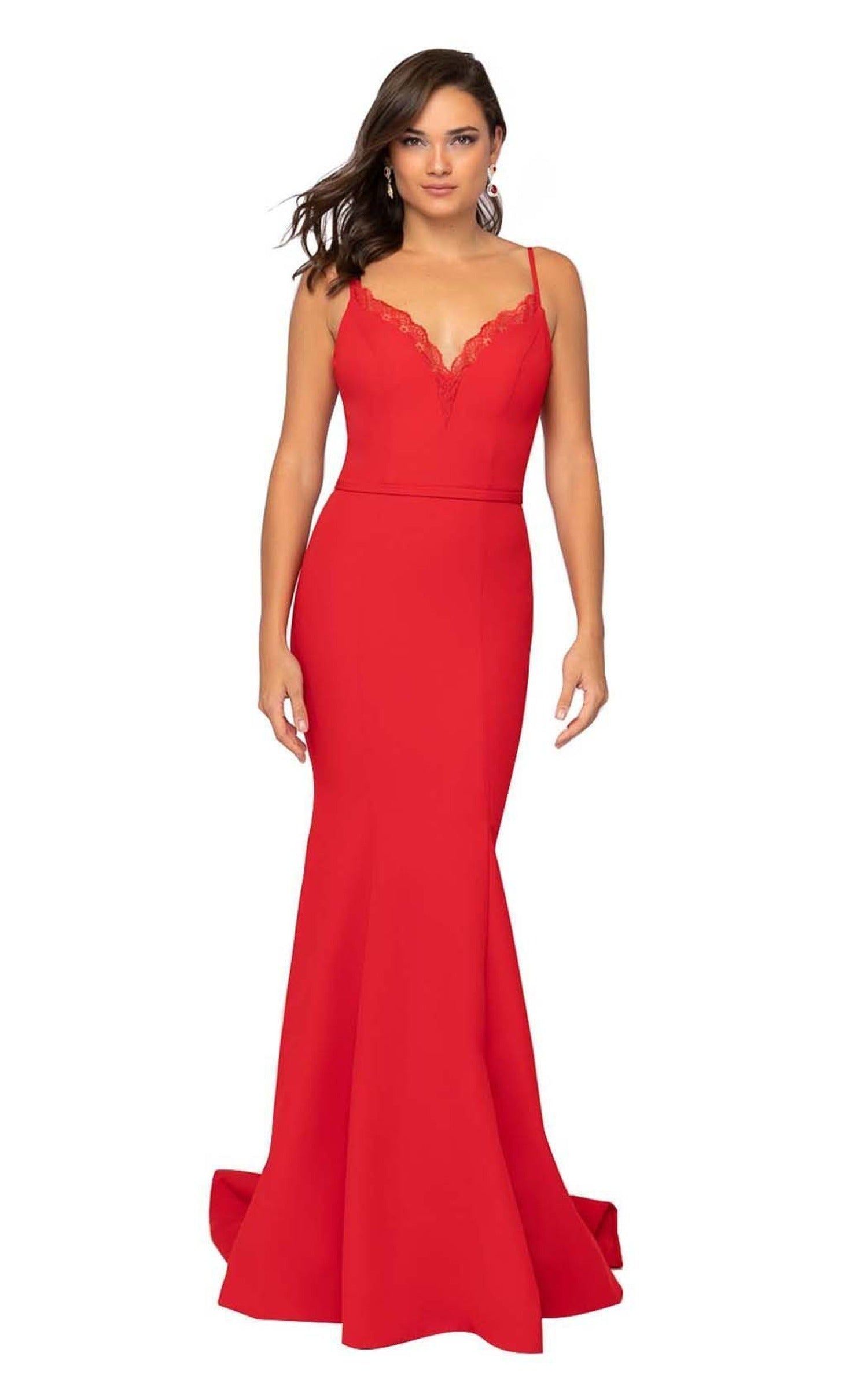 Terani Couture - 1912P8219 Lace V-Neck Mermaid Dress