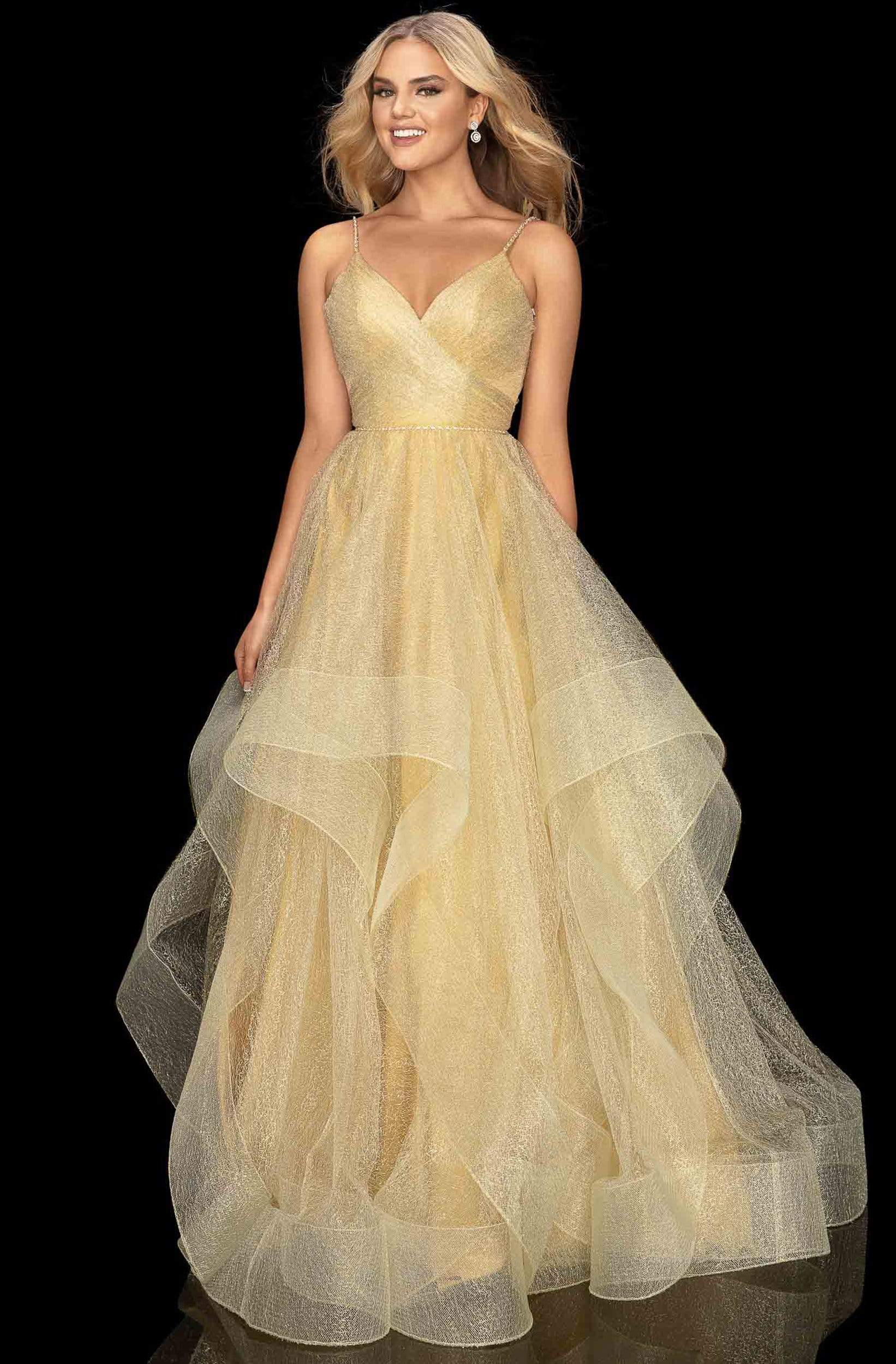 Terani Couture - 2011P1213 Crisscross Rendered Tiered A-Line Gown - back view