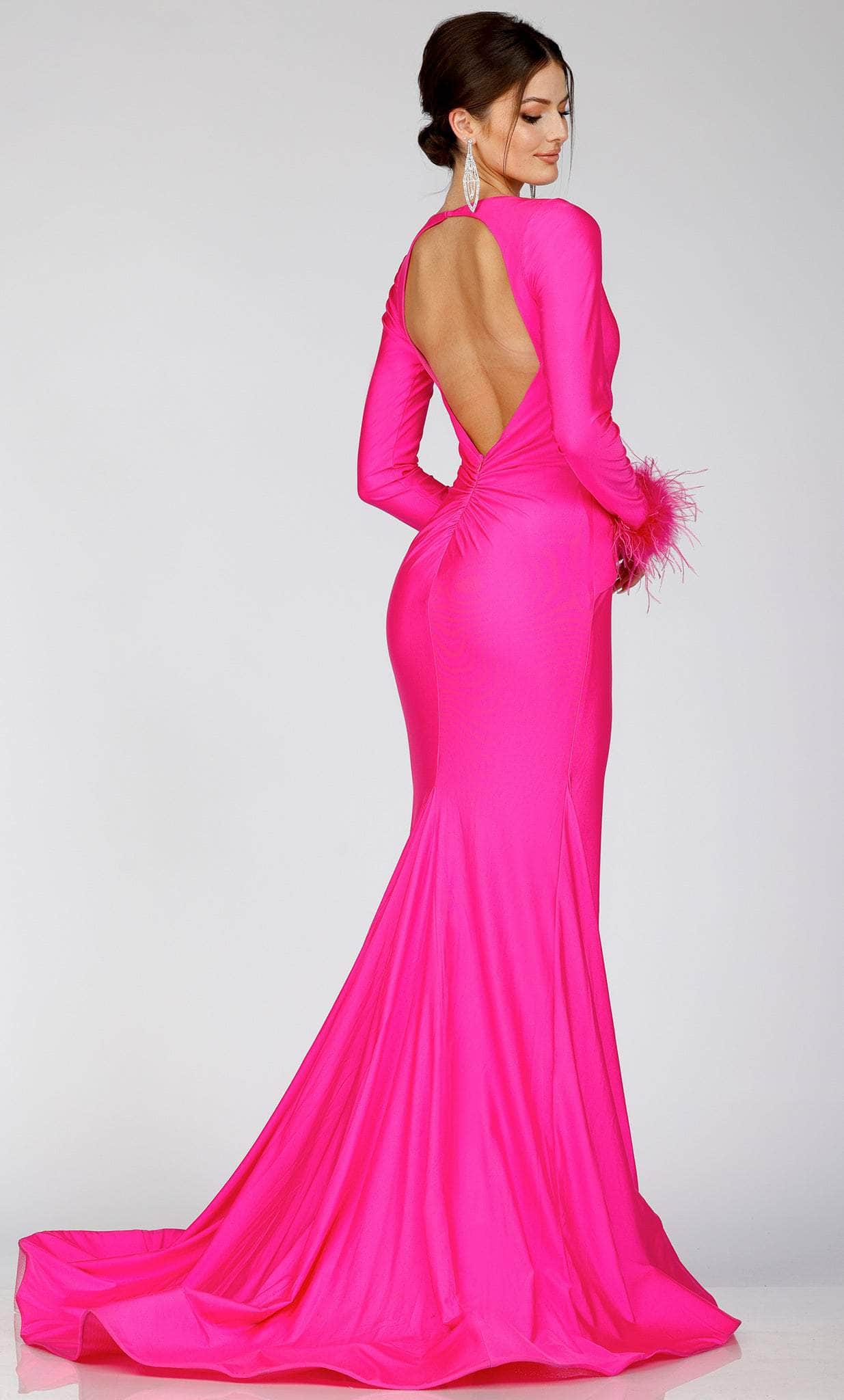 Terani Couture 231P0074 - Long Sleeve Feathered Detailed Evening Gown - detail view
