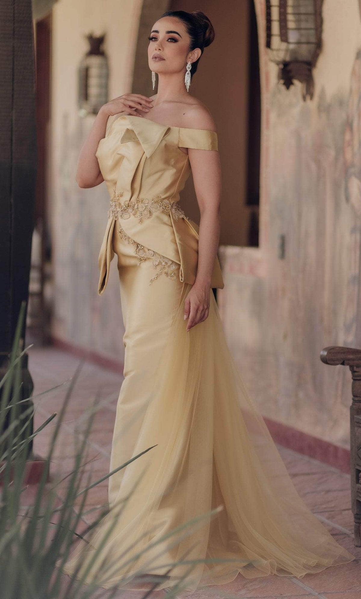Terani Couture 232E1241 - Appliqued Off Shoulder Prom Gown - back view