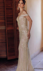 Terani Couture 232GL1471 - Off-Shoulder Net Applique Prom Dress - detail view