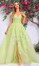 Terani 251P4533 - Cap Sleeve Organza Gown - designer ball gown at Silhouette Dresses