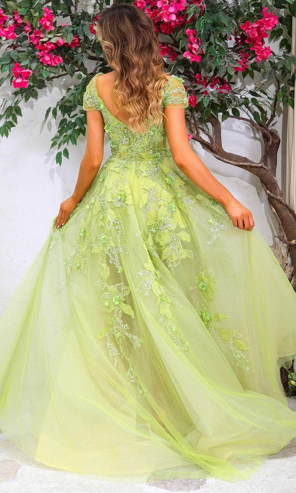 Terani Couture 251P4533 - Organza Cap Sleeve Ballgown - back view