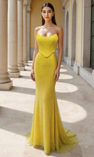 Terani Couture 261P6187 - Scoop Neckline Fishnet Prom Dress