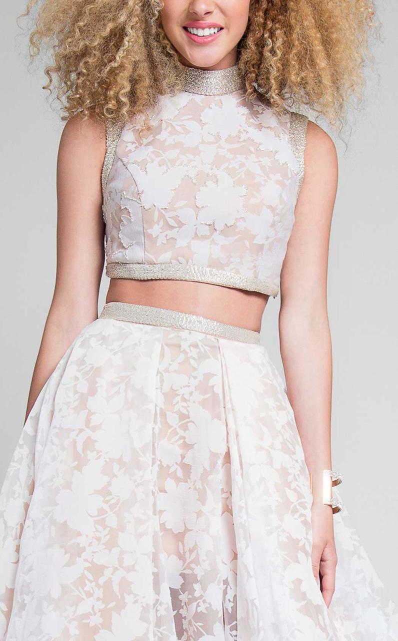 Terani Couture - Two-Piece High Collar Gown with Lace Appliques 1711P2713 - view 4